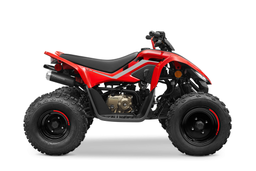 CFMOTO CFORCE 110