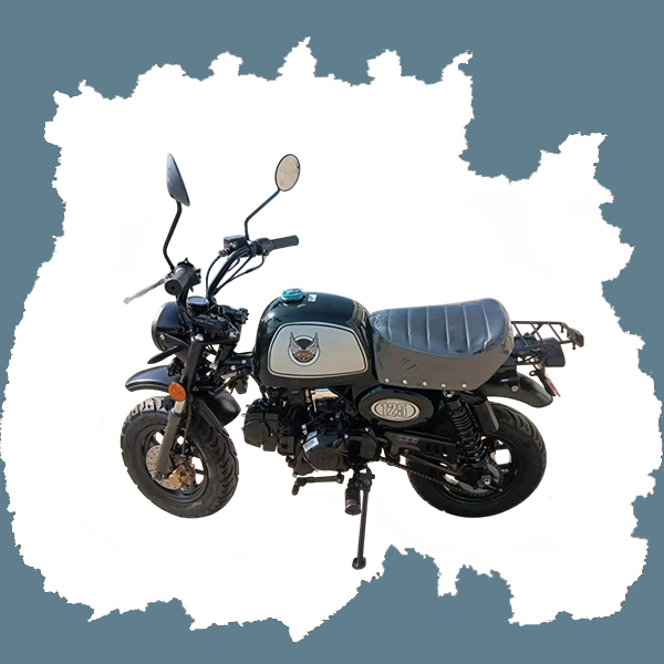 SKYTEAM SKYBONGO 125