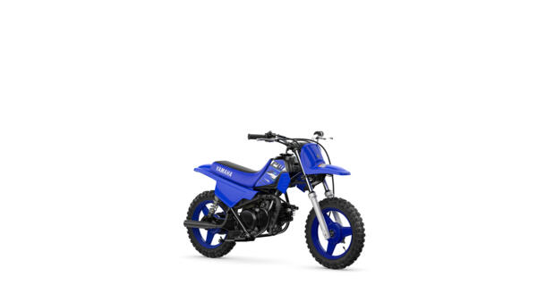 YAMAHA PW50 DPBSE